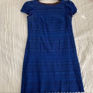 Jones New York Shift Dress sz6